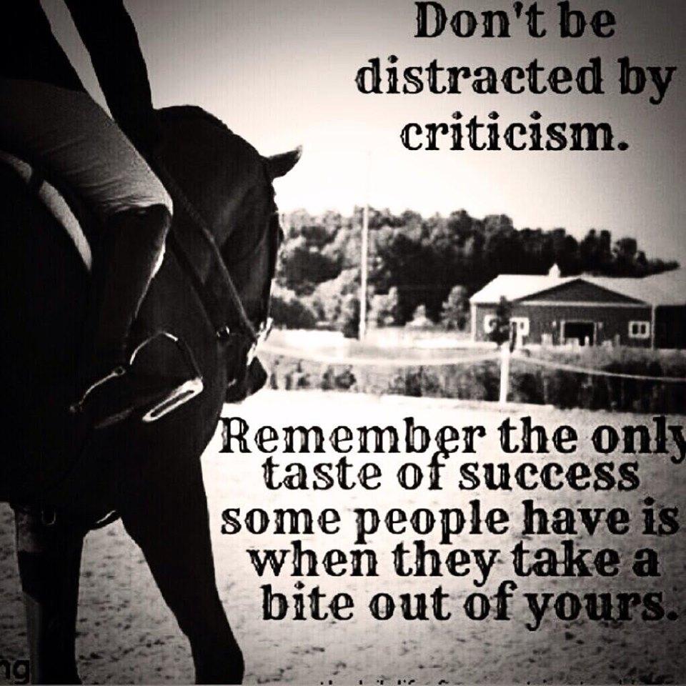 Don't be distracted by criticism.
#dontbedistractedbycriticism #dontbedistracted #tasteofsuccess #successquotes #successfulquotes