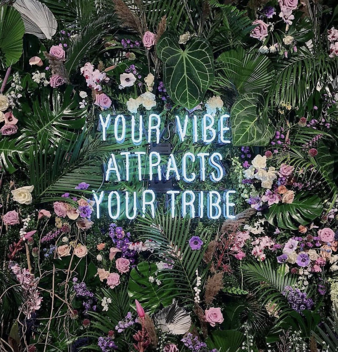 mor_decor's tweet photo. Hella yesss!!
.
.
.
#realtalk #greenwall 
@alma_floral https://t.co/u6EMvAzLj5