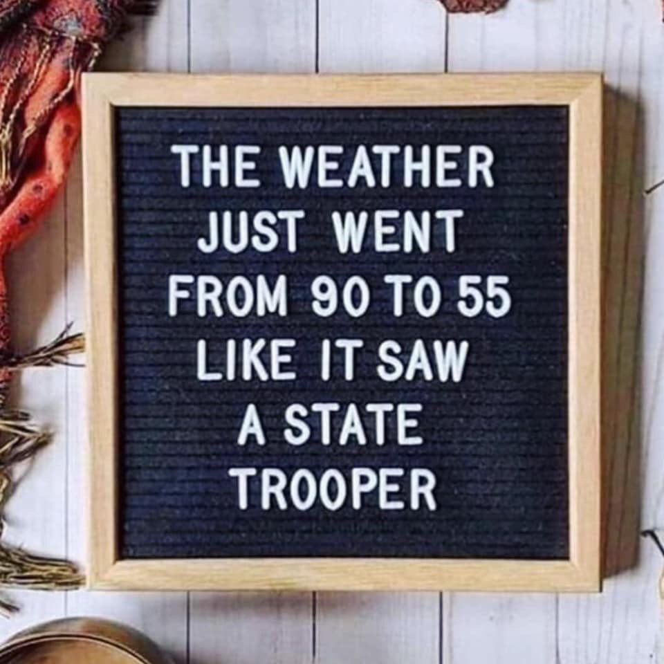 Kara Harding tweet media