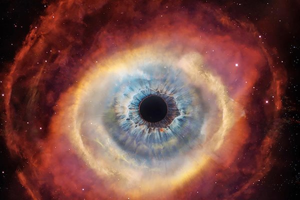 Mehrdad Shahmohammadi tweet media