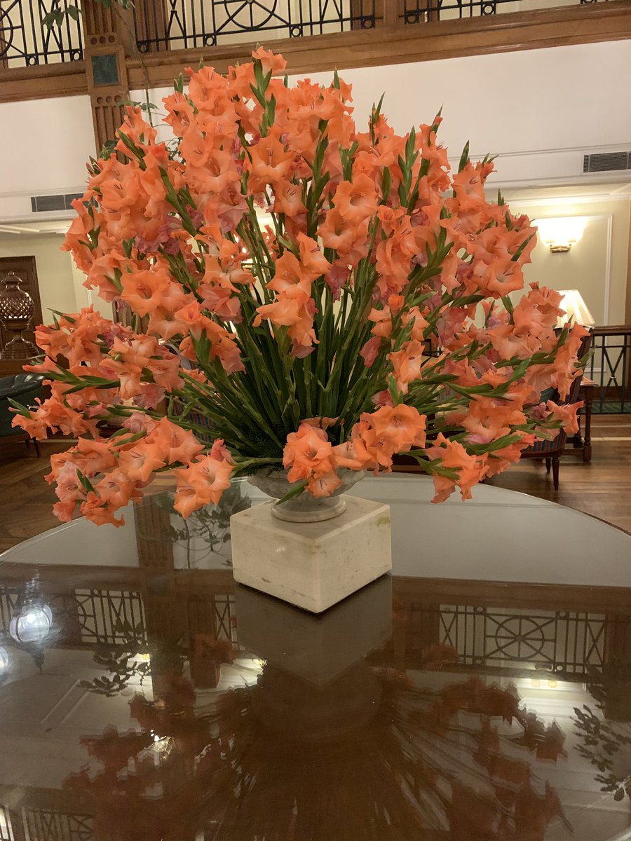 allion9093's tweet photo. Spending time in the Oberoi Cecil in Shimla has been a wonderful experience. Can’t thank the lovely staff @OberoiHotels for their kindness &amp; for making our stay so memorable. Can’t wait to return! #OberoiHotels #India19 #MakingMemories 🙏🏻🇮🇳 https://t.co/s2j6NrUASo