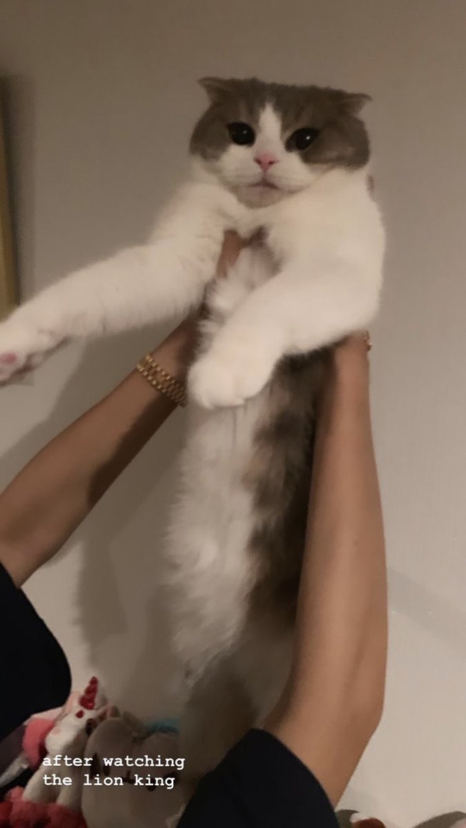 intoblackpivk's tweet photo. PLEASE LEO &amp; LUCA ARE SO CUTE 

#MTVHottest BLACKPINK @ygofficialblink https://t.co/plmYEmUW1F