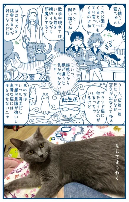 こちらは、もうひとつエピソード

まだ、「初めて」だと思い込んでいた頃の
猫のラクガキ漫画はこちら
⇒ https://t.co/cv9UJIu6gN 