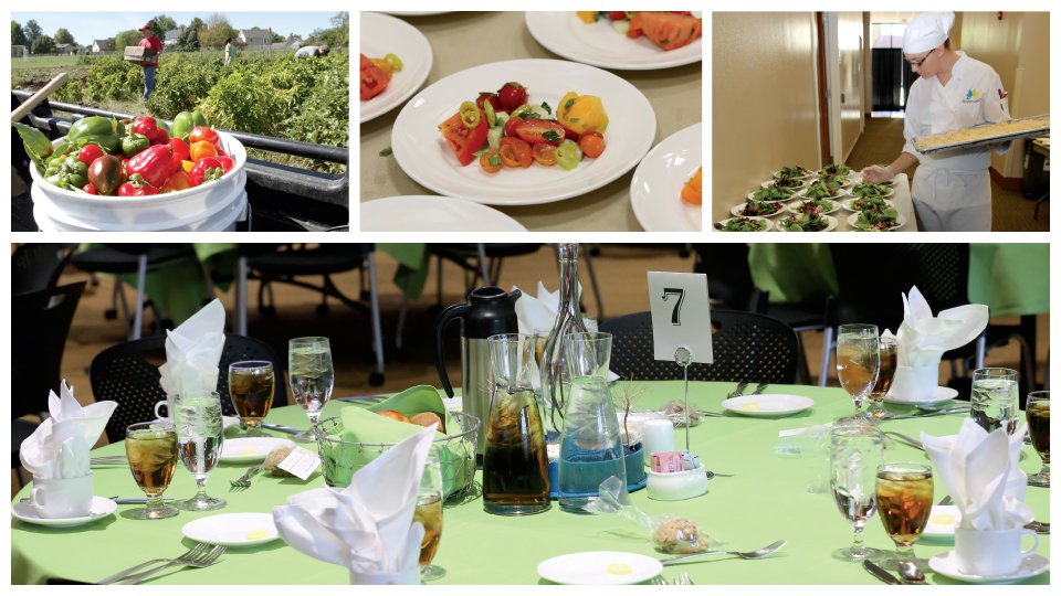 Our annual Harvest Dinner is around the corner! You don’t want to miss this farm-to-table feast prepared by Chef Brandon Winn, Executive Chef at Webster House (and JCCC grad!) on August 30. Reserve your seat today: ow.ly/WulR50v9jb6