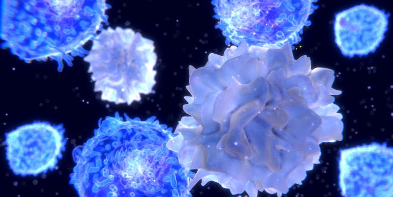 GoutGroup's tweet photo. A study found that the administration of a neutralizing antibody against IL-17 lessened joint symptoms, swelling, and infiltration of leukocytes into the inflamed tissue. These findings could lead to a new #treatmentstrategy for gouty inflammation: https://t.co/rmoPpLE0nd #gout https://t.co/8nuyCnfYFK
