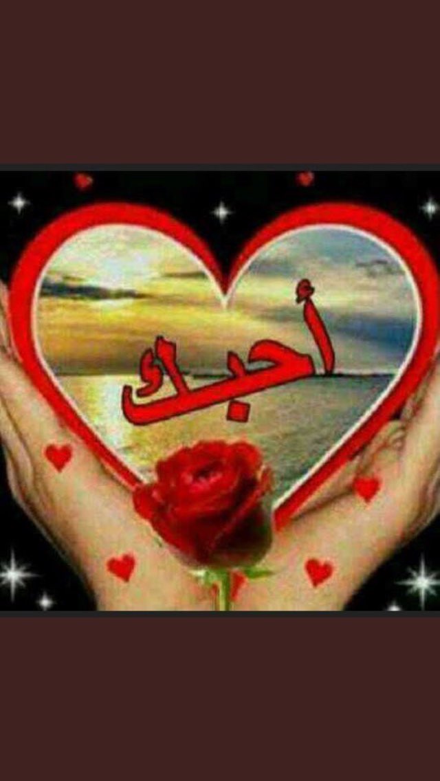 aw_5544's tweet photo. البعد ذابحني وانا انسان مشتاق
والناس مـن يشكيلهم يفضحونه.💔 https://t.co/qcU4hIVwu8