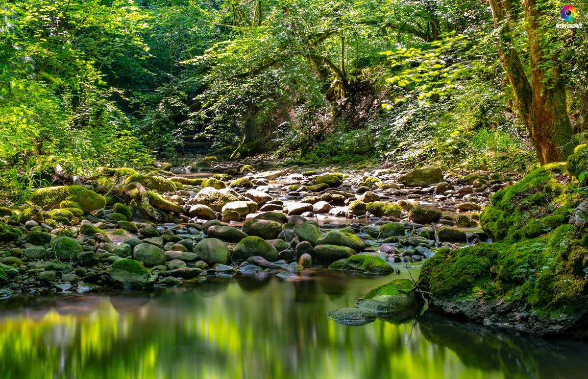 mdeshusses's tweet photo. Le paradis, au Vallon de la Roulave, entre #Dardagny et #Essertines ❤️ #geneve #geneva #switzerland #longexposure #nikon #sigma #hoya #manfrotto @tdgch @signegeneve @lemanbleutv @GeneveTourisme @MySwitzerland_f @Nikon @SigmaFrance https://t.co/dw57SGBisg