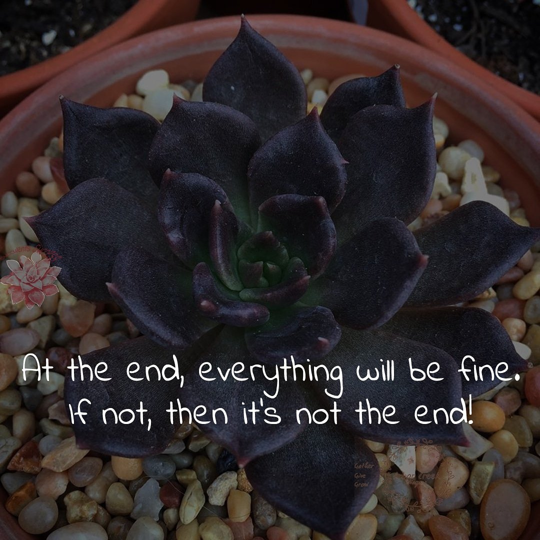 #At the #end, #everything #will #be #fine. #If #not, #then #it's #not #the end! #succulents #success #quotes @ArborCreekNiag - Like for more success - Follow us for more success quotes @SucculentsSucc1