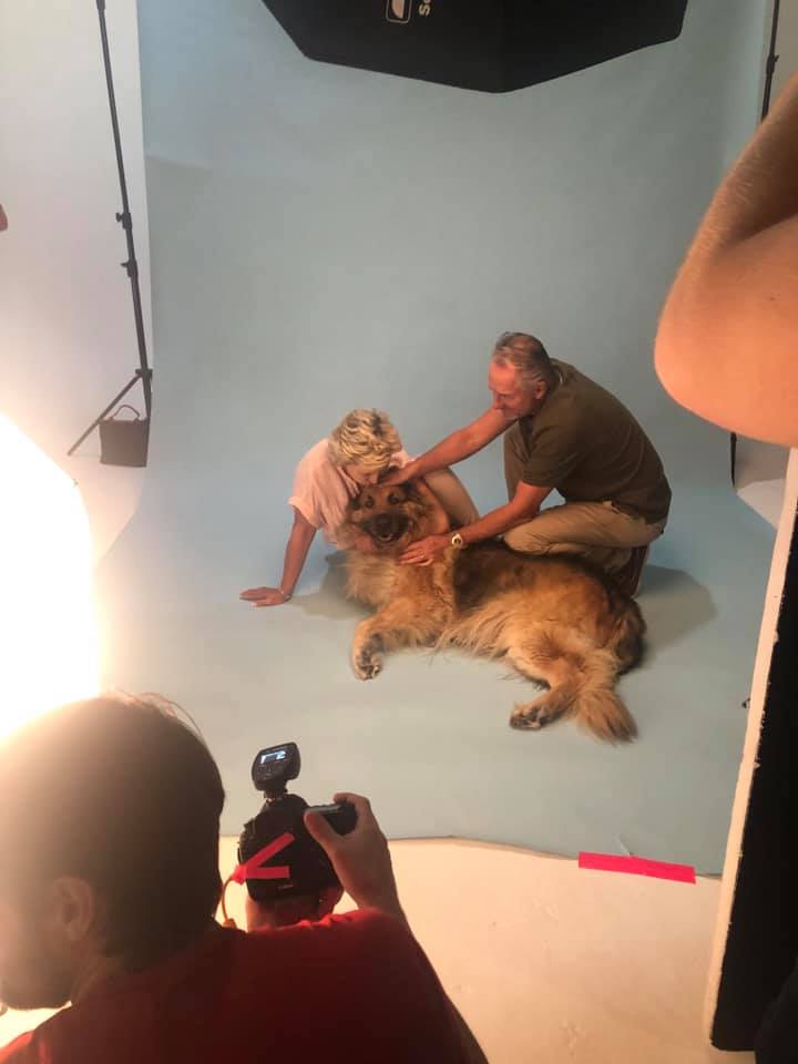 models_direct's tweet image. BTS of our pet models working on shoot for PetLab Co.
#petmodelling #pets #modelsdirect #dogs
