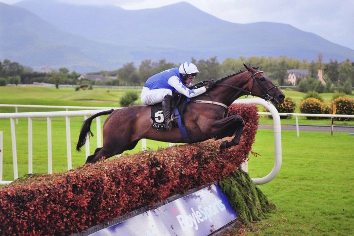jeremysykes60's tweet photo. Robin De Carlow winner @BetVictor Novice Chase @KillarneyRaces for @SupremeHorseRac #PrincessRobin
Photo credits @GoRacing @patcashhealy https://t.co/sJ3oS2pV7b