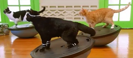 Tu aimerais bien postuler au LAB mais tes loisirs te prennent tout ton temps ?
➡️ Ça tombe bien dans le questionnaire il n'y a pas de blabla, juste les infos essentielles à compléter, tu pourras vite retourner à ton activité !

⌛ J-8 pour postuler sur labnantes.org !