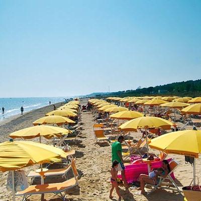 Il Bosco di Don Venanzio abruzzocamping.it/it/campeggi-e-…