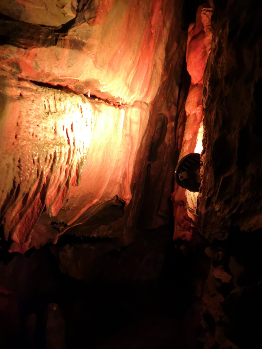 ShepTeam's tweet photo. @WinchamCP Ella says "Have a lovely summer Grasshoppers" 💖
We are just learning about early man at Cheddar Gorge! #HidingFromTheHeatWave #HappyHolidays #SeeYouInSeptember #TeamShepLEJOG https://t.co/WmdlYwsa5P