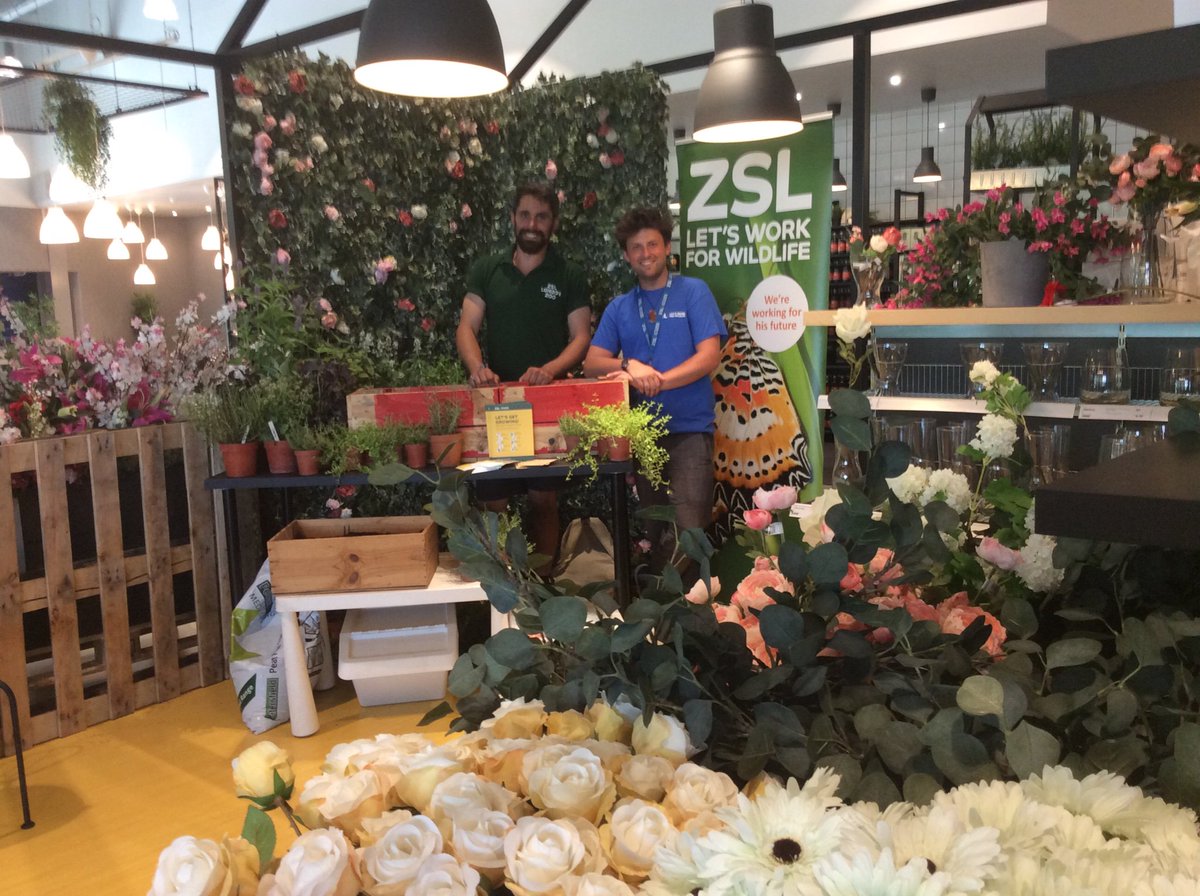 hubbubUK's tweet photo. It’s our last day at #IKEAGreenwich with @zsllondonzoo 🌱💚 come talk to the experts and learn about attracting bees and butterflies to your green patch, whatever your space 🐝🦋🌷#GiveItAGrow #NationalParkCity https://t.co/RH9Eqe1oZ8