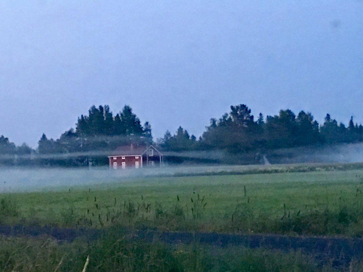 MrsFinland's tweet photo. Mysterious #SummerNight in #Hailuoto. 🇫🇮 Driving all alone from #Marjaniemi #Sumppu to my house. https://t.co/BQ0RS7qhzT