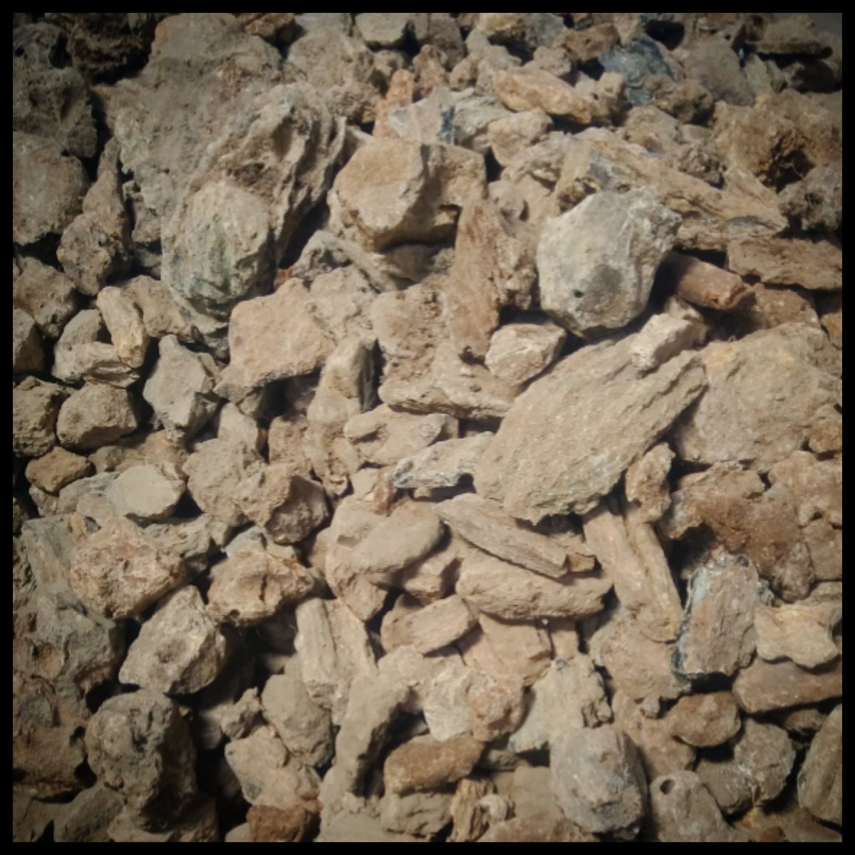 damarbatu's tweet photo. #DamarBatu Indonesia°°°
Location Of Party: Surabaya, Indonesia.
Info/Order? +6282154478997
• Damar Batu #BombayGrade $ 540 per Ton
• Damar Batu #KolkataGrade $ 480 per Ton
• Damar Batu #PowderGrade $ 280 per Ton
Payment: D/P + TT or LC + TT 🙏 https://t.co/RVSvUgTXPa
