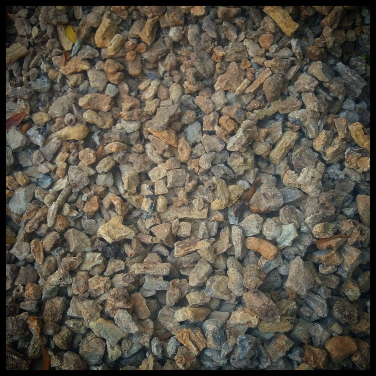 damarbatu's tweet photo. #DamarBatu Indonesia°°°
Location Of Party: Surabaya, Indonesia.
Info/Order? +6282154478997
• Damar Batu #BombayGrade $ 540 per Ton
• Damar Batu #KolkataGrade $ 480 per Ton
• Damar Batu #PowderGrade $ 280 per Ton
Payment: D/P + TT or LC + TT 🙏 https://t.co/RVSvUgTXPa