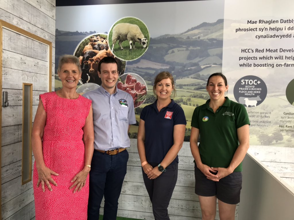 HybuCigCymru's tweet photo. Great morning promoting the benefits of animal health planning with vets Joe Angell and Clare Jones and @CVOWales @CVOCymru #stocplus #RMDP @RMDPcymru https://t.co/GkGnjfkCni