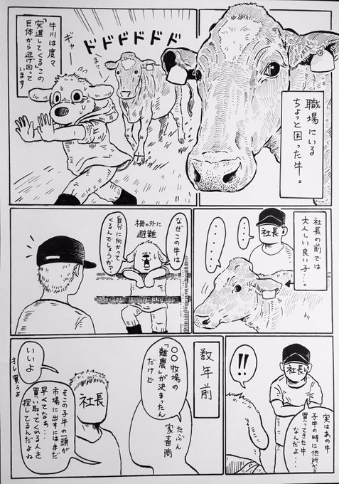 『構って欲しい(牛)』?

研修中に「子牛を甘やかし過ぎるな」と言われた意味を、今になってようやく理解する。

※社長から聞いた話をイメージして描いているので、ちょっとだけフィクションです。 