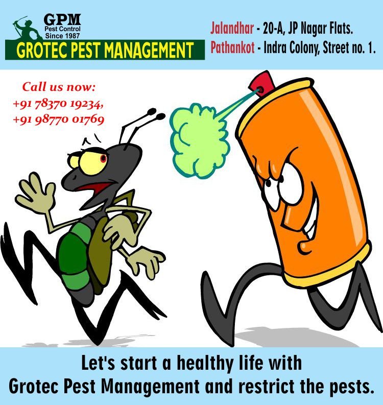 GrotecPest's tweet photo. To get ahead of any pest problems contact Grotec Pest Management and discard the creepy 
crawlies foreever.

For more info visit us at: https://t.co/3dXJWfKdsD
Call Us: 78370-19234

#Pestcontrolservices #Pestcontrol #Pestservices #Pestmanagement #pesteradication #Pestprevention https://t.co/5RGGN13AP3