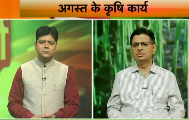DDKisanChannel's tweet photo. इस समय पूरे देश में #मानसून के बादल बरस रहे हैं
#खरीफ की बुवाई भी हो रही है
#अगस्‍त में अधिकतर फसलें शुरुआती बढ़वार की अवस्‍था में होती हैं ऐसे में खेती के लिहाज से यह महीना काफी अहम है
देखिए #VichaarVimarsh - अगस्त के कृषि कार्य
26 जुलाई रात 10 बजे
29 जुलाई सुबह 11 बजे #DDKisan https://t.co/LJTRri48AH