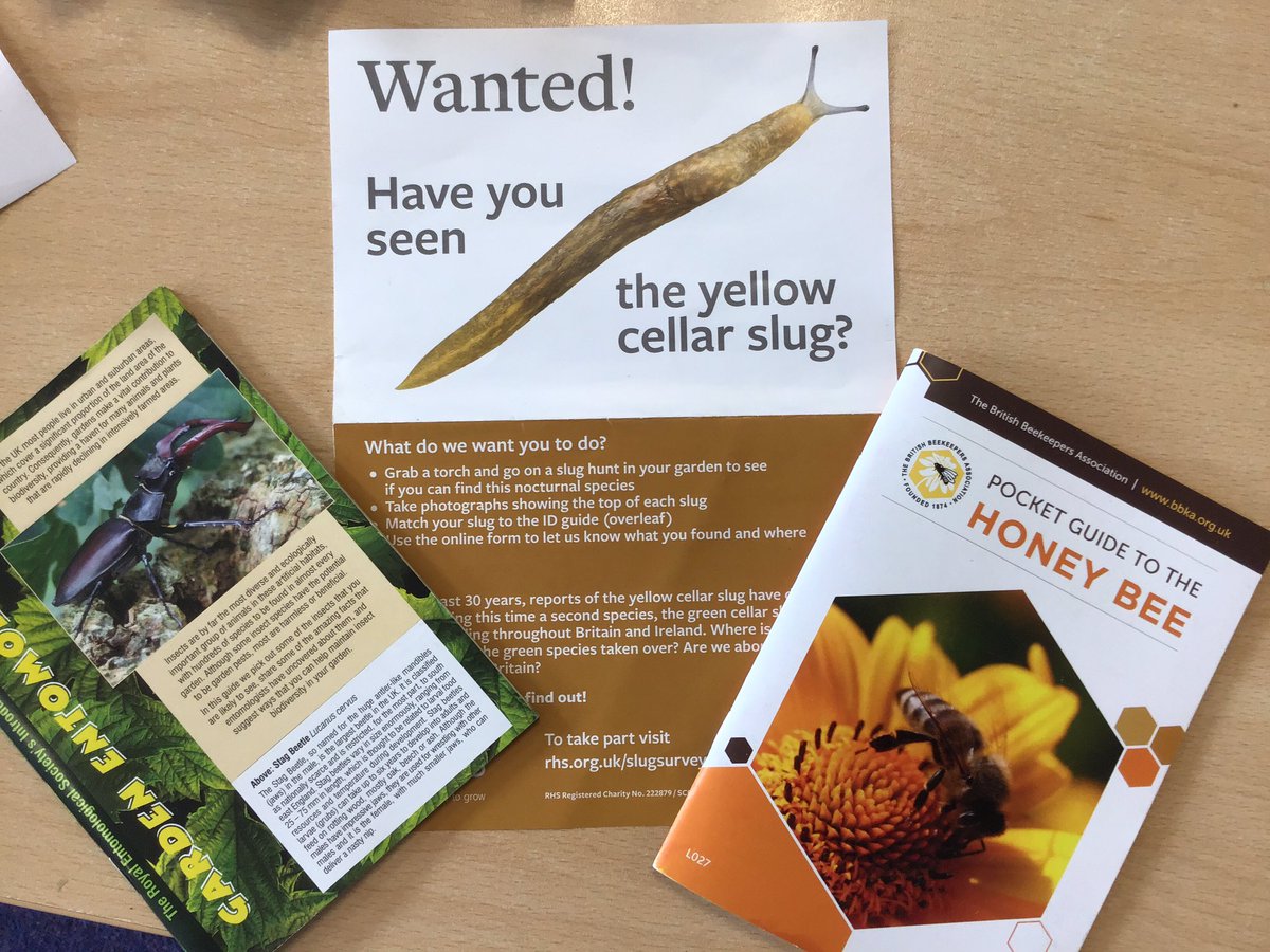 MrCStJames's tweet photo. Thanks to one of our @StJamesYear6 parents who brought in these great booklets from @The_RHS flower show @tatton_park 
(We know snugs aren’t insects!)
#youngentomologistclub 

@MGLnrd @VelcroCow2 @AshWhiffin @amentsoc @agrigrub @VelcroCow2 
@royalsociety @RHSSchools @britishbee https://t.co/B1BjSqg8IQ