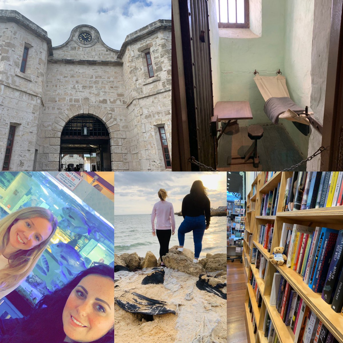 LinkEd0719's tweet photo. Day 2 in Australia has been very educational! We’ve been on a trip to Fremantle prison and Fremantle beach. Bondi had a quick trip to the bookshop too. Off to Mount Hawthorn Centre and @visionaustralia tomorrow. #Australia #Perth #Fremantle #FremantlePrison #Sunset #Beach #Learn https://t.co/5TwyyUxZqt