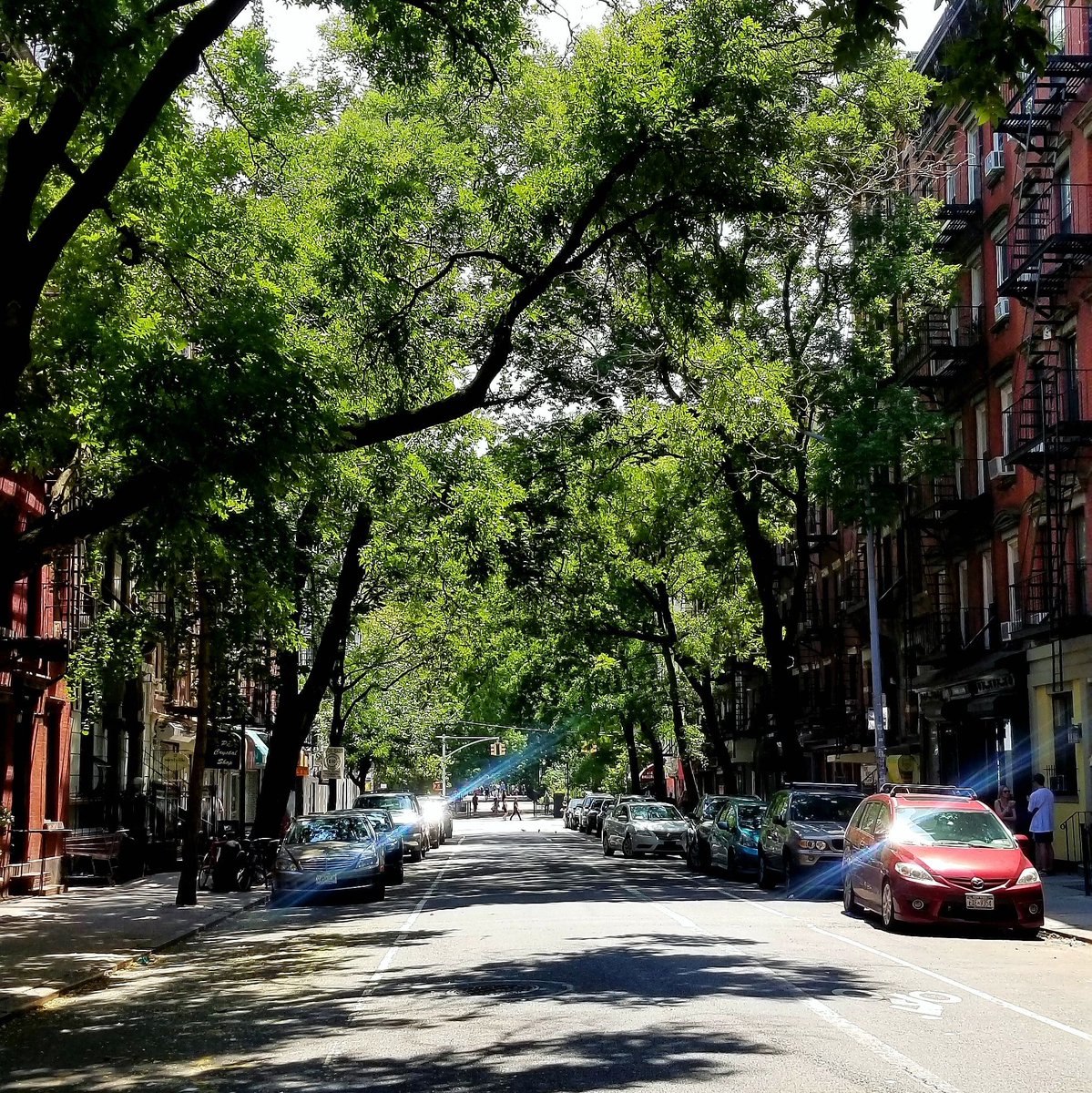 Summer Mornings in Manhattan. 

#distrikthotelnyc #livelikealocal #nyclife