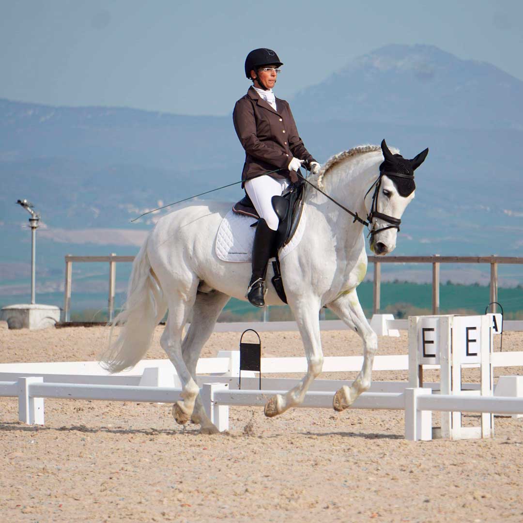 Zaldihipica's tweet photo. En #ZaldiFriends recordamos a Leyre Corroza con su PRE Jerezano. Con su silla NEW KENT+TM-SYSTEM: El taco ayuda a la posición, he notado un gran cambio al tener la silla y hace que me acople mejor al caballo. Feliz de la compra.
👉 https://t.co/IMWp84fgaf
#24jul #zaldi #tmsystem https://t.co/4XzAIhL8We