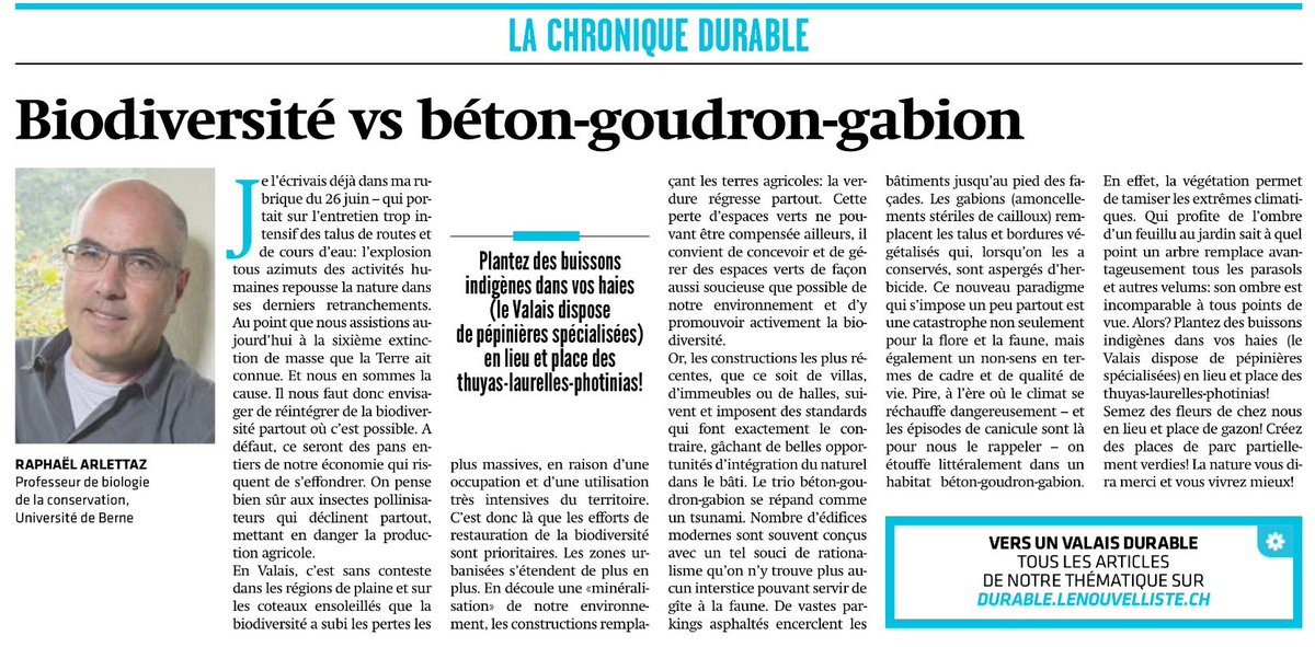 RaphaelArlettaz's tweet photo. Les trends stériles dans les aménagements paysagers autour de nos constructions (ce que j’appelle béton-goudron-gabion) cèdront-ils le pas à des concepts plus soucieux de la #biodiversité et de notre confort climatique? #jardin #paysagisme #architecture #nature #ClimateChange https://t.co/reUP7ChKBg