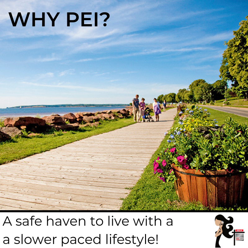 pei_robin's tweet photo. #PEI has a #familyfriendly , slower paced lifestyle- the perfect place to call home!

#robingamble #WhyPEI #PEIhome #peirealtor #charlottetownPEI #montaguePEI #GeorgetownPEI #islandlife https://t.co/lXCaKAMGlU