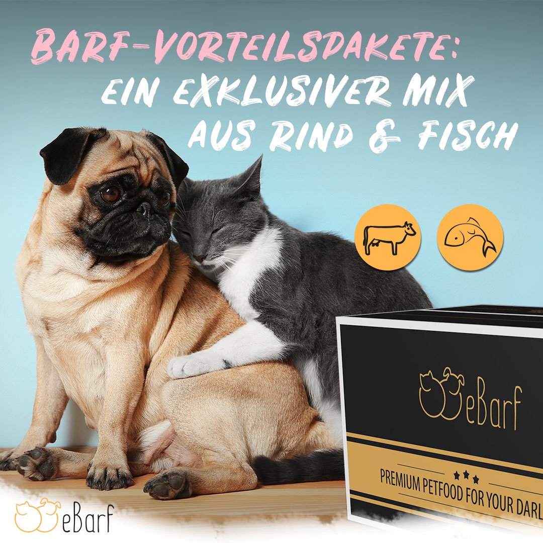 eBarfDE's tweet photo. 🌷 BARF-Vorteilspakete im Juli 🌷

Unsere BARF-Vorteilspakete im Juli enthalten einen exklusiven Mix aus Spezialitäten vom Rind und Fisch und sind sowohl für Hunde ���� als auch für Katzen 🐱 erhältlich.

https://t.co/1l1GZp2LcF

#katzen #Fixbarf #barf #menüs #Fisch #Rind #eBarf https://t.co/m1xrHy8adw