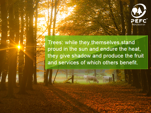 PEFC_NL's tweet photo. #ThankYouTree's π
Treesπ³π²: while they themselves stand proud in the sun and endure the heat, they give shadow and produce the fruit and services of which others benefit.
#summerheat #hothothot #toohot #holidayseason
#zomer #hitte #tropenrooster https://t.co/sxdP0UG5MV