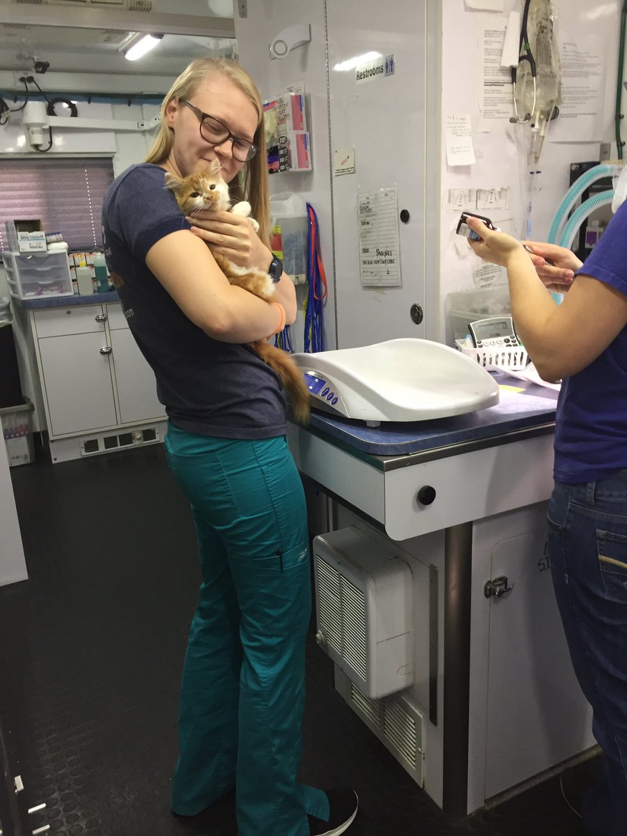 RascalUnit's tweet photo. Last #Caturday we fixed 26 female and 23 male cats in Athens Co. Most were outdoor cats and had quite a few kittens too. Our friends at the Athens Co Humane Society did an amazing job at getting everything set up for us.
#cat #feral #feralcat #spayandneuter #mobilevet #RascalTeam https://t.co/hx1cYaz1ms