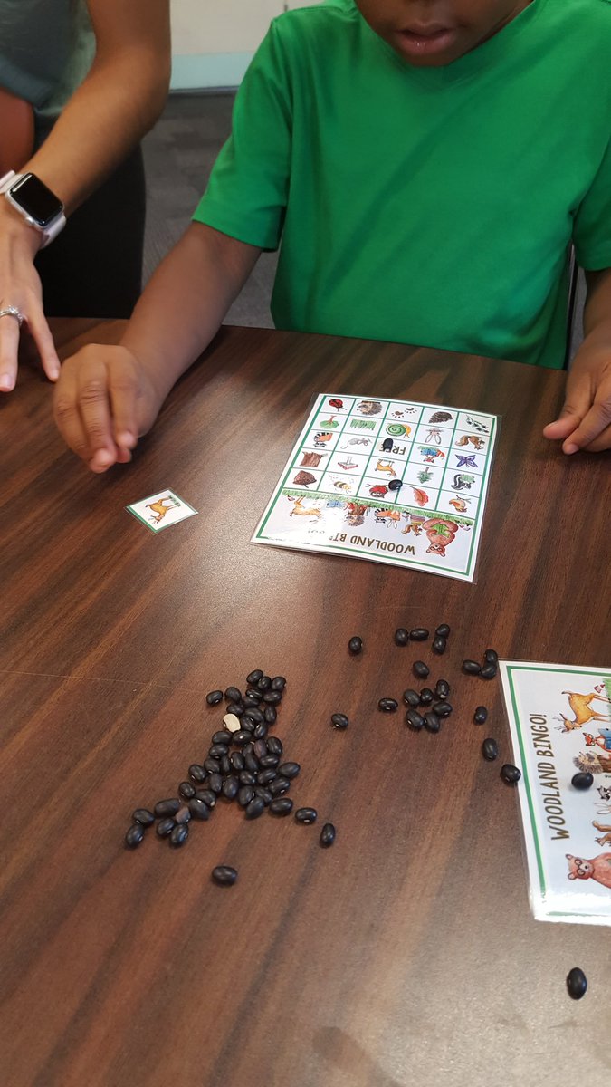 vcann_OT's tweet photo. A little Woodland creature Bingo in ESY OT group. #functionthroughplay @Klfhowell89 @mthollyschools https://t.co/thUj9dFGOv