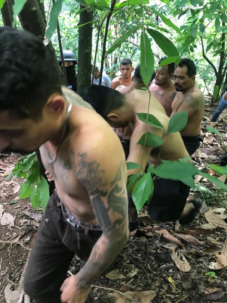 JuanOrlandoH's tweet photo. Mi reconocimiento a la Fuerza Nacional AntiMaras y Pandillas, Policía Nacional, Policía Militar y Ministerio Público, por desmantelar una peligrosa célula de doce antisociales en El Merendón; y por arriesgar sus vidas por la paz y seguridad del pueblo hondureño. https://t.co/Pq7aUiek44