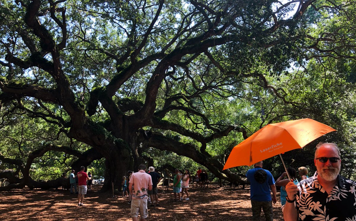 plotboy's tweet photo. Final stop on my #FicheBella Summer vacation - Charleston, SC. 

Check out the Ravenel Br and the Angel Oak Tree (>1000 yrs old).

#FicheFriends #FicheFun 
#Food #History #Architecture 

@laserfiche @Ryan_Laserfiche @ECM_marketeer @Noel_Laserfiche @SeeAmyJGo @wellsm @HDingStar https://t.co/73AziH9yVr