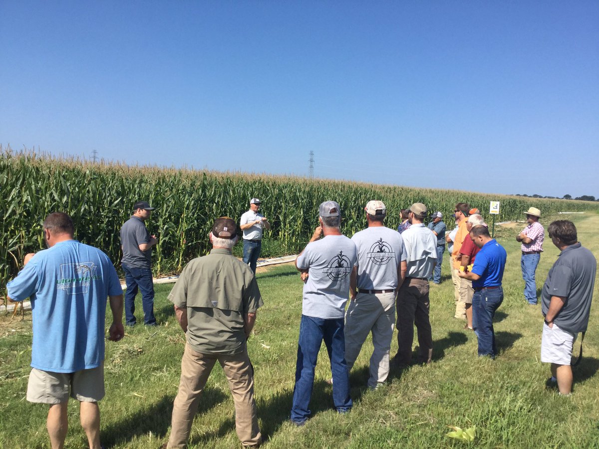 F2F genetics field day taking place on our farm today. Learning about hybrid lineup and upcoming products. <a href="/FBNFarmers/">FBN</a> <a href="/ronwulfkuhle/">Ron Wulfkuhle</a>