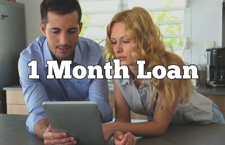 3 30 days pay day advance lending products via the internet