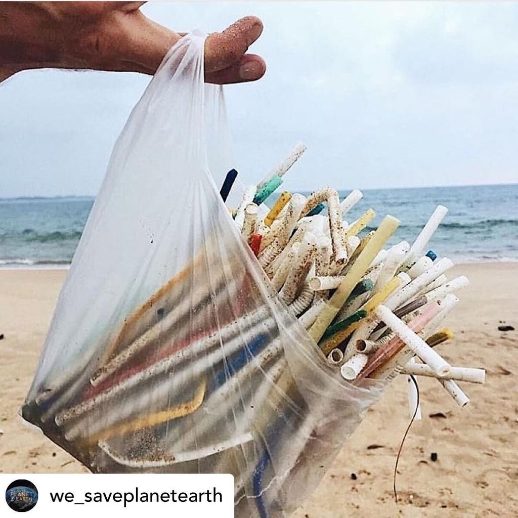 “It’s only one straw!” -Said 8 billion people 🚯

📸 @5minutebeachcleanup @we_saveplanetearth
.

#ecoislandpackaging   ( @rangkulbumi )