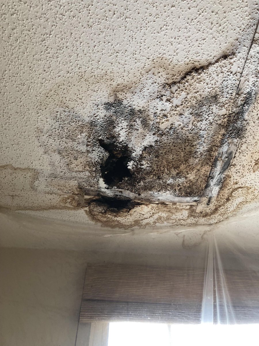 IEScoatings's tweet photo. If you have a home or business, you do not want to see this on the ceiling
#WednesdayWisdom https://t.co/9fDV9YSTou