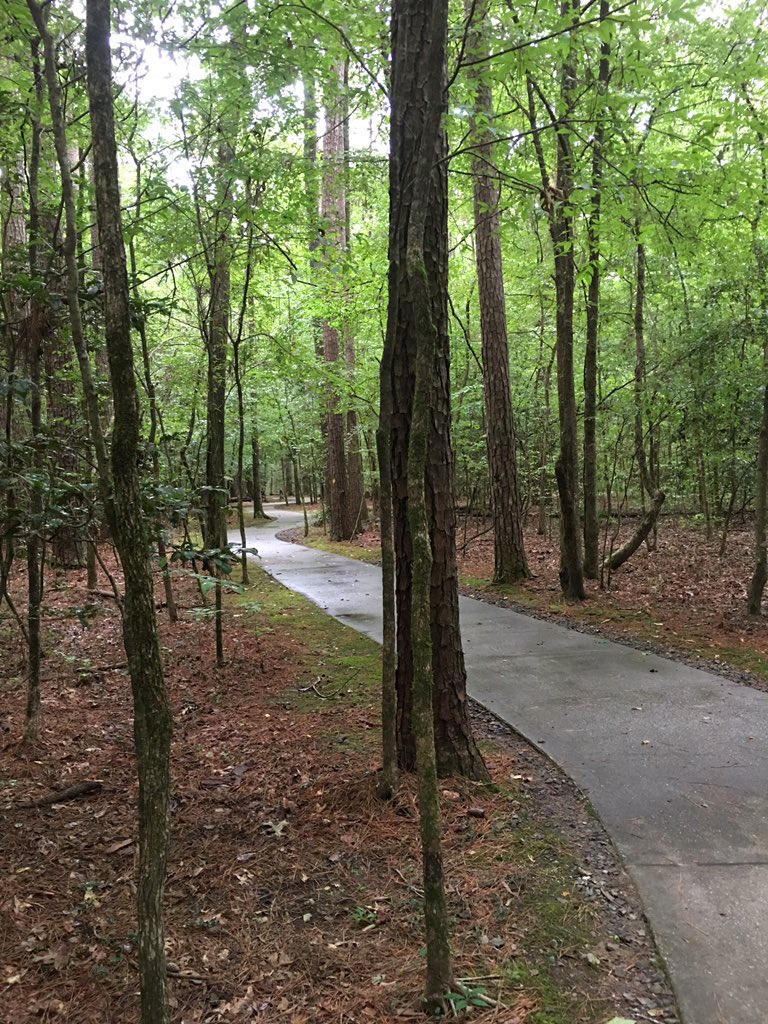 MrsJodiLea's tweet photo. Crater of Diamonds State Park in Arkansas has a great Barrier Free/Accessible Trail. 💎 #Every #whatsyoursuperpower #hiking #cainsummer https://t.co/XGDtavJpZA
