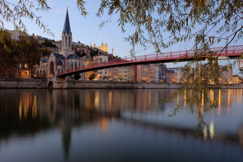 Join us for the joint ISS and Holobiont 3 meeting in Lyon, France from 18th - 23rd of July 2021! PC: A. Heddi