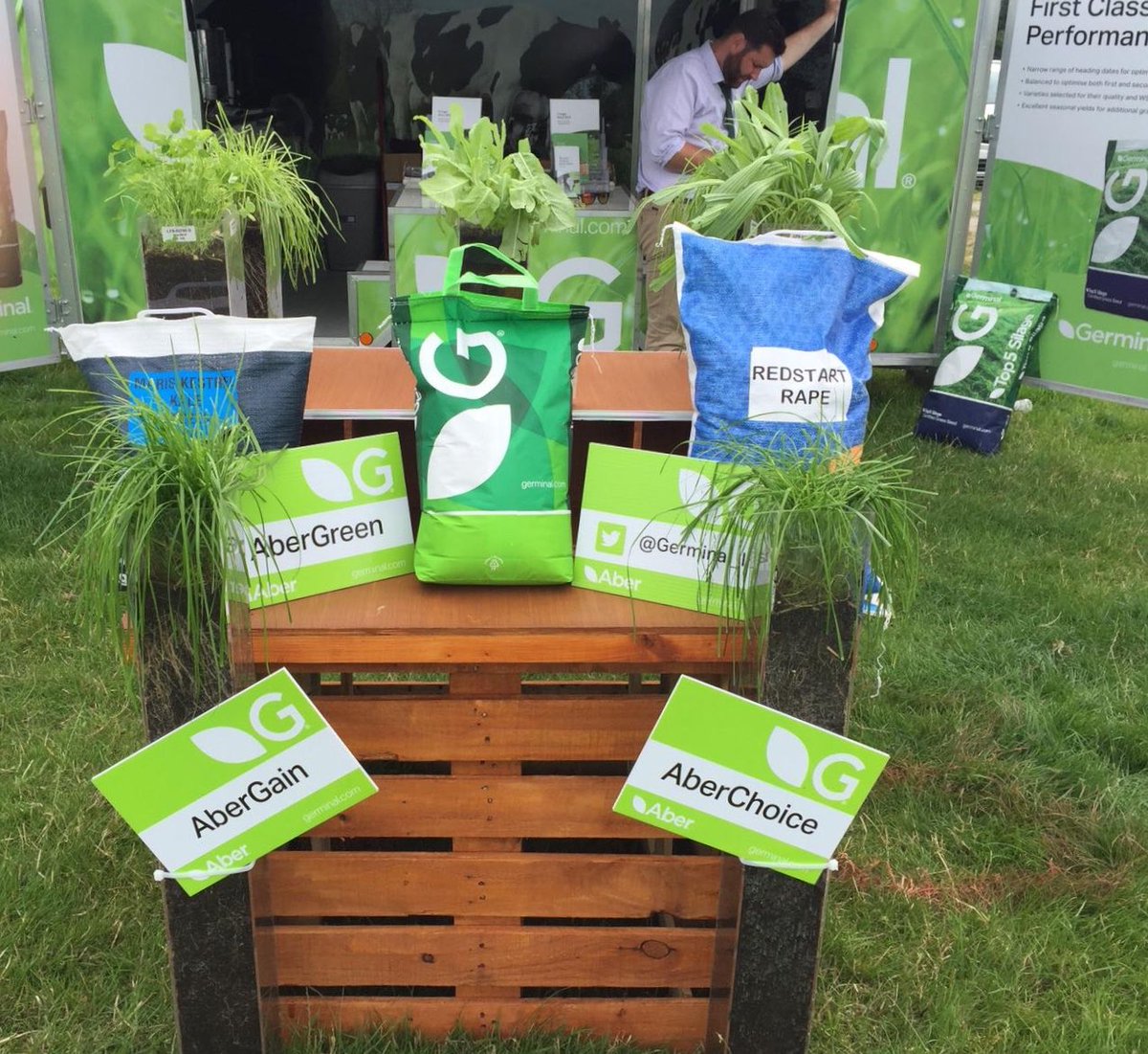 Germinal_Ire's tweet photo. We’re here until 6pm at the @farmersjournal 2019 Tullamore Farm Beef & Sheep Open Day. Visit our stand for a chance to win 10 bags of Top 5 Extend and for best practice advice from @BillGerminal
@Murphy1Diarmuid on forage and grassland management #KnowledgeAdvances https://t.co/u6nnJMj6vL