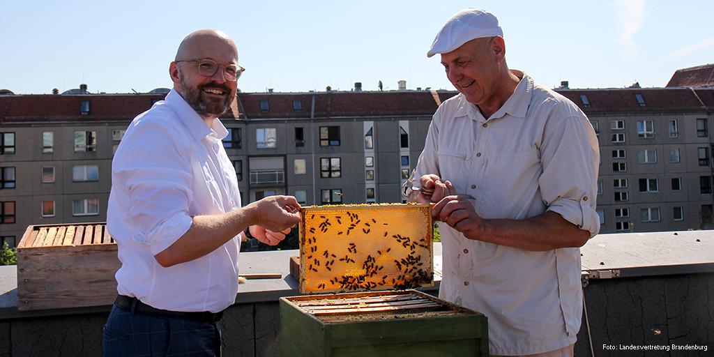 staatskanzleibb's tweet photo. 60.000 #Bienen auf dem Dach der #Brandenburg|er Landesvertretung in Berlin waren fleiΓig - StS #Kralinksi und #Imker Holger Ackermann konnten heute den ersten leckeren Honig ernten.π― ππ―ππ―π
#dachimkerei #natur #urbankeeping #bees https://t.co/bBYVGeCHSL