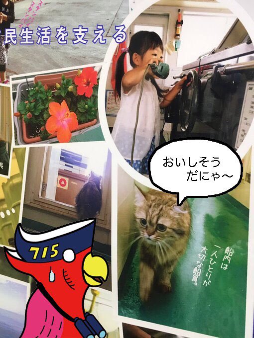カンパチ船長 カンパチ船長