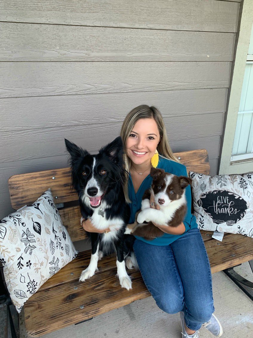 Staci_f24's tweet photo. Our border collie fam grew from one to TWO! Everyone meet Ryleigh 💗🥰 https://t.co/dprfhCZAfw