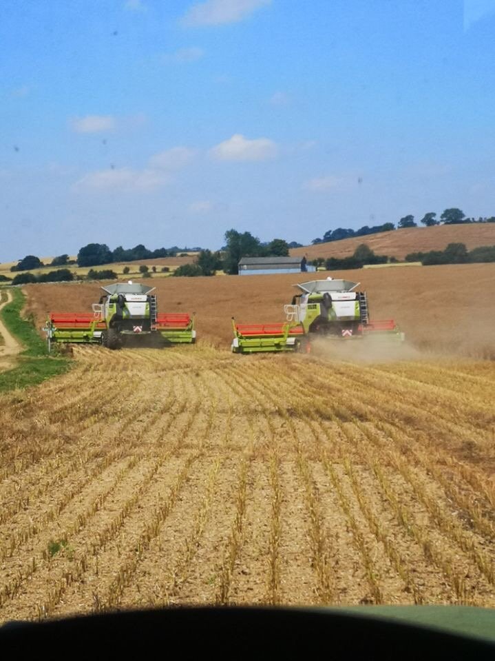 CWrightandSons's tweet photo. Few shots of the combines working together this afternoon cutting some more OSR on the wolds! 🌞🍦 @CLAAS_Eastern https://t.co/ZVfmErOvTi