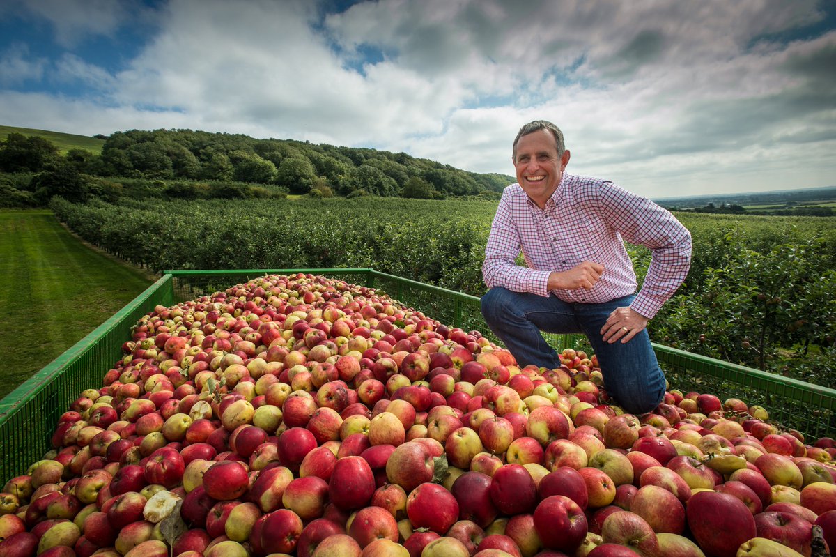 JessGazette's tweet photo. This month our My Somerset feature is Martin Thatcher from @thatchers_cider โ have you read it yet?
#somerset #MySomerset #ThatchersCider #Thatchers #Cider #MyrtleFarm #Sandford #SomersetFarm #CiderandFood #LuxuryMagazine #MagazineFeature https://t.co/8sFcvpKwyx