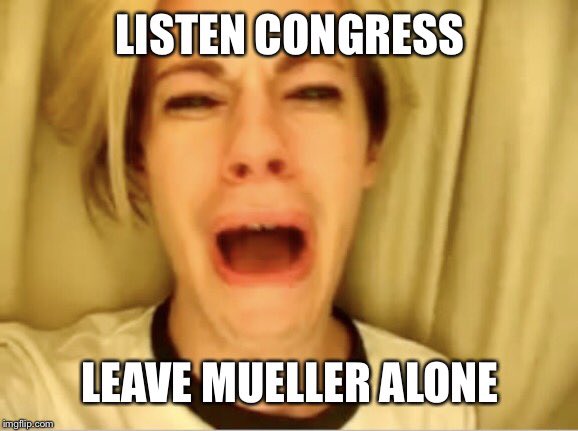 Michigan_Time's tweet image. Some of these congressmen are really attacking him personally... #MuellerDay #MuellerHearing  #MuellerIsAPatriot